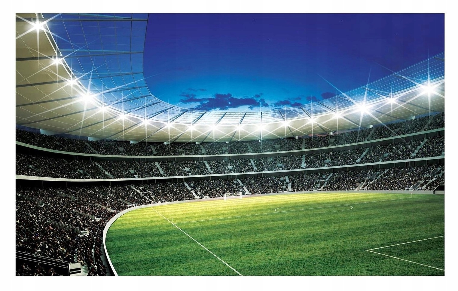 Fototapeta Fotbalový Stadion pro chlapce 312x219