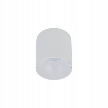 Point Tone Bílé Stropní Svítidlo Spot Nt 1X GU10/ 10W IP20 Ocel