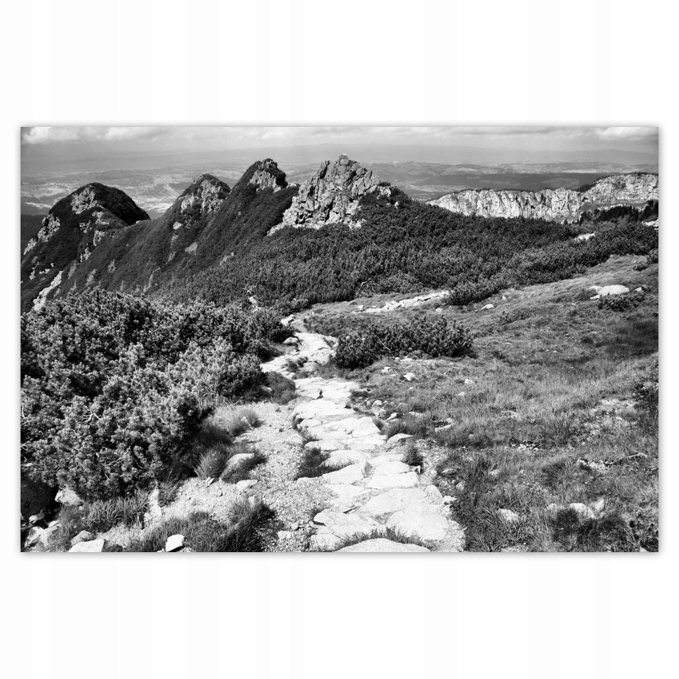 

Plakaty 93x62 Tatry Polskie góry Widok