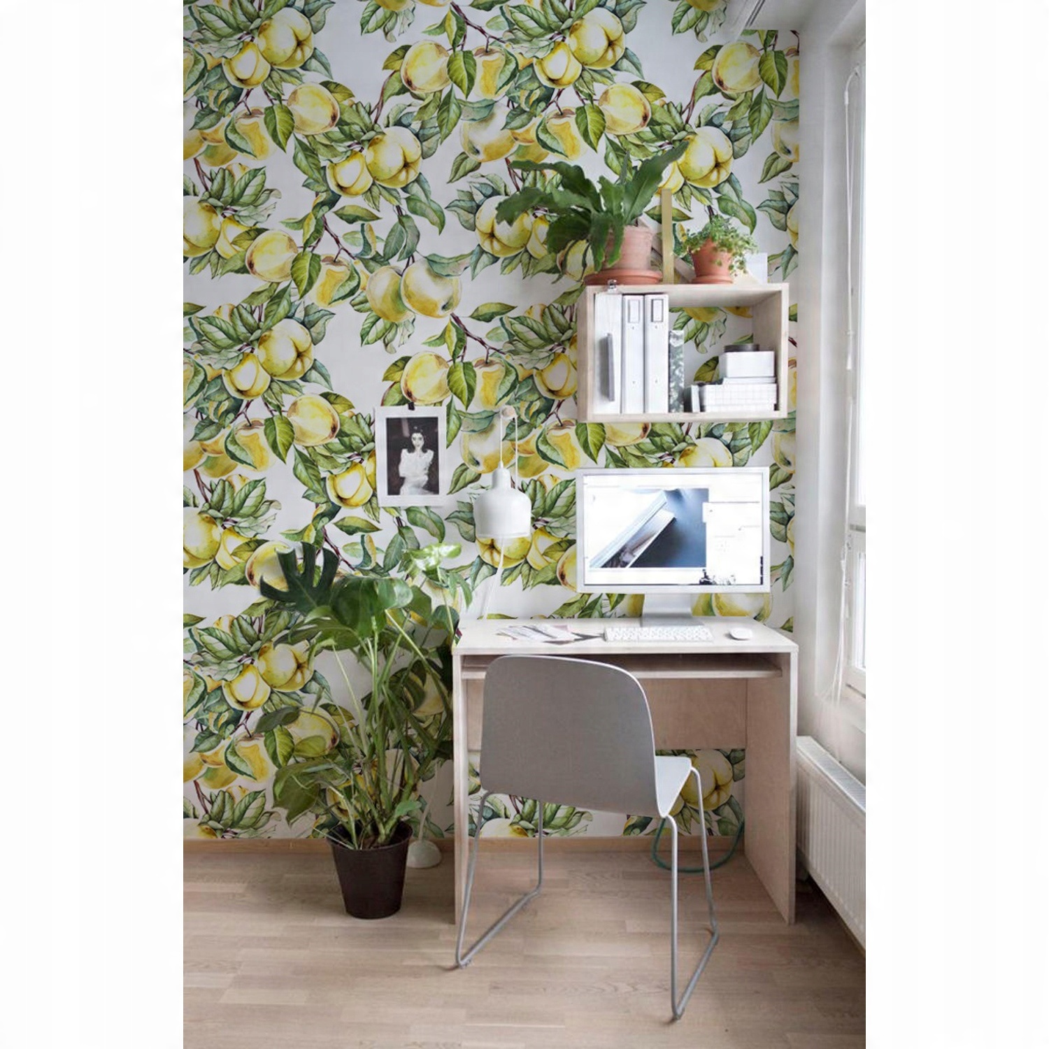 

Fototapeta do sypialni Jabłka na gałęzi 250x250 cm