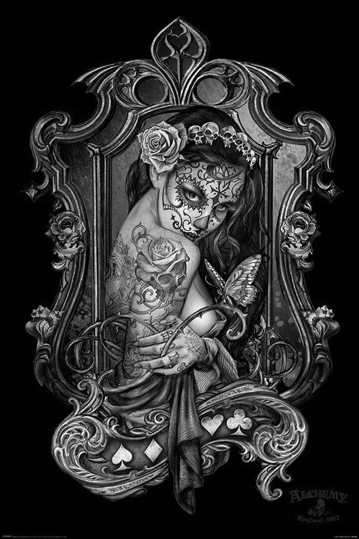 

Alchemy Wdowa plakat