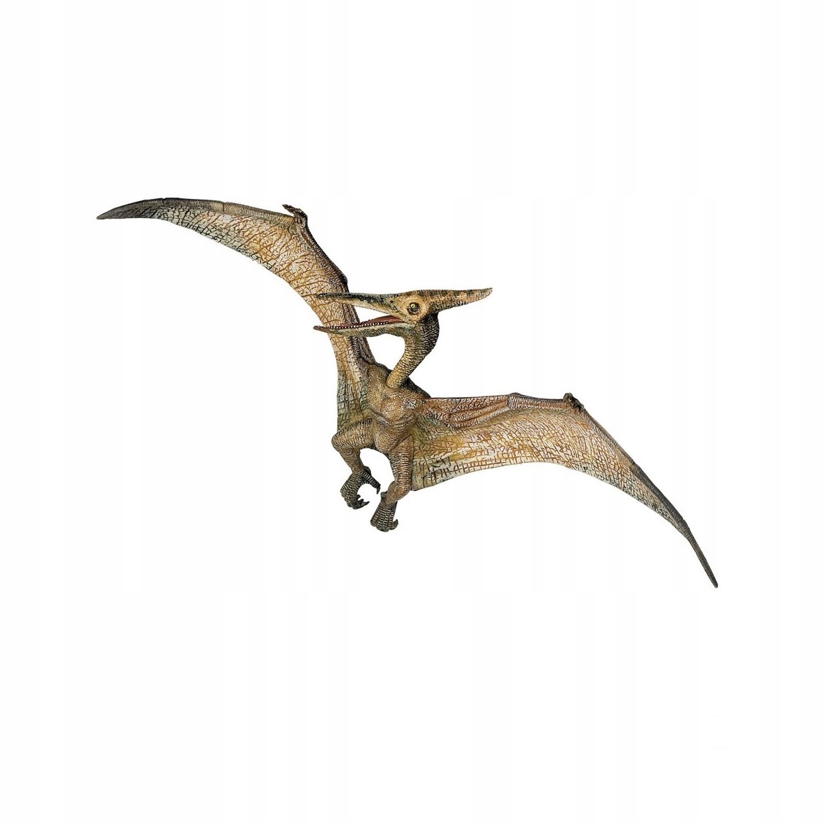 

Dinozaur Pteranodon Papo 55006