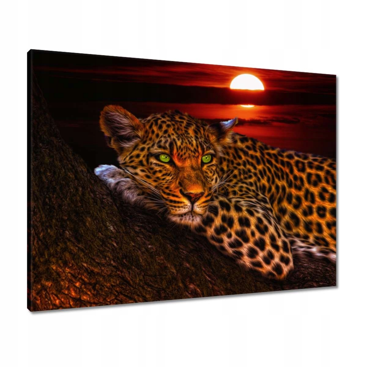 Obrazy 80x60 Leopard pantera