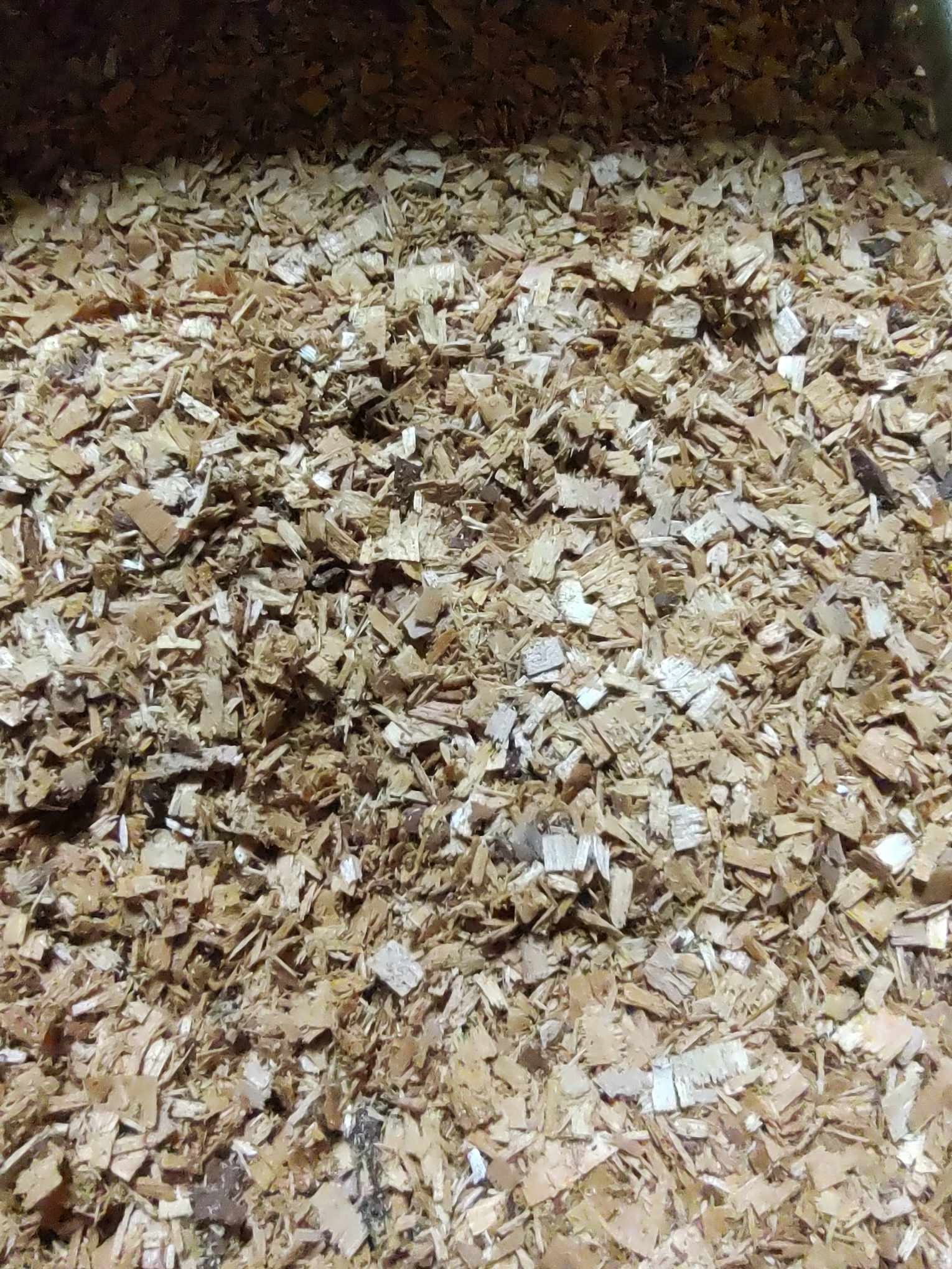 TROT trociny z Drewno do wędzenia OLCHA zrębki 1,5 kg ZAGĘSZCZACZ DYMU ! Marka LM