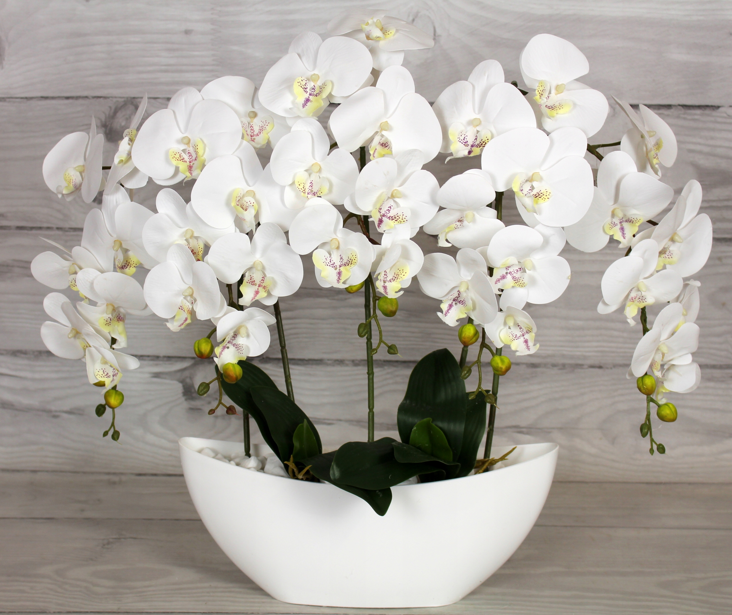 STORCZYK SZTUCZNY ORCHIDEA SILIKONOWY 5 PĘDÓW DUŻY Kod producenta Storczyk sztuczny