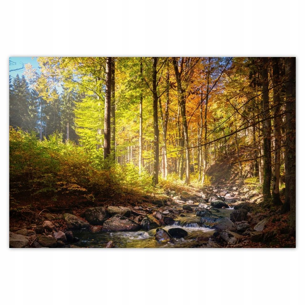 

Plakaty 60x40 Pejzaż Krajobraz