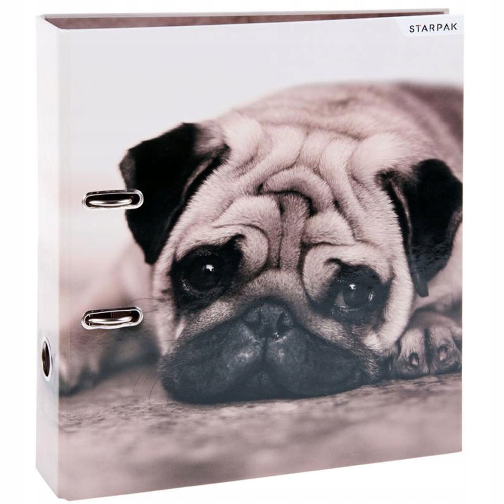 STARPAK SEGREGATOR A4/70 SZKOLNY NA DOKUMENTY A4