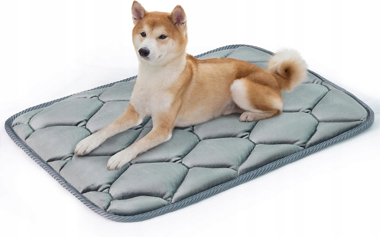 Levně Pelíšek matrace pro psa Geegoos velikost L 89x56x3 Kvalita