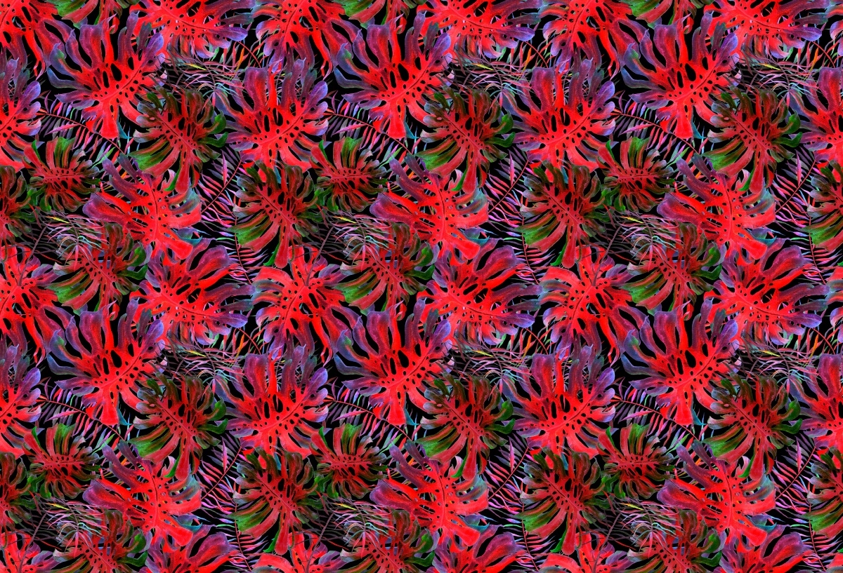 

Tapeta Flizelinowa Monstera dziurawa - 104x70