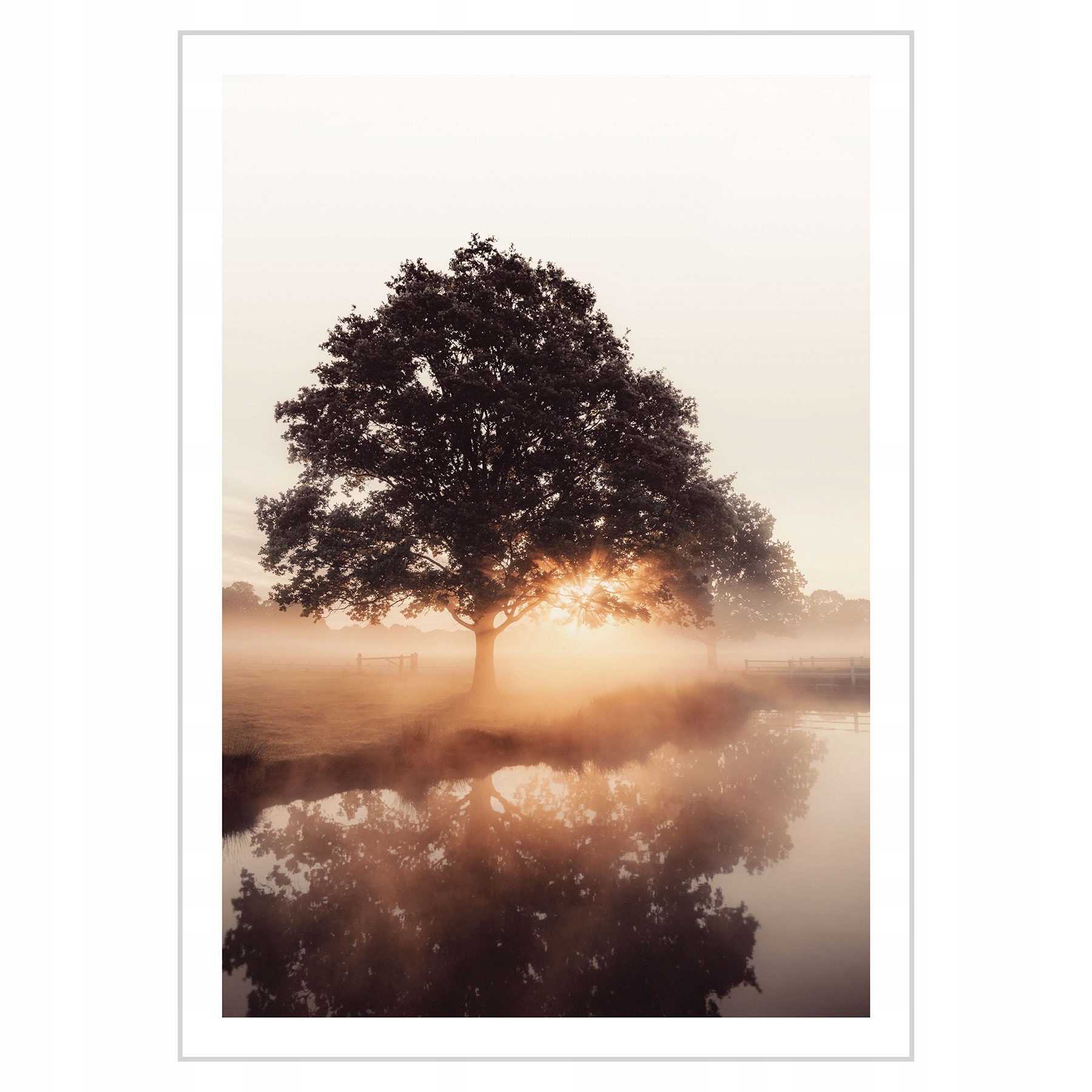 

Plakat 50x70 Jesienny wschód słońca