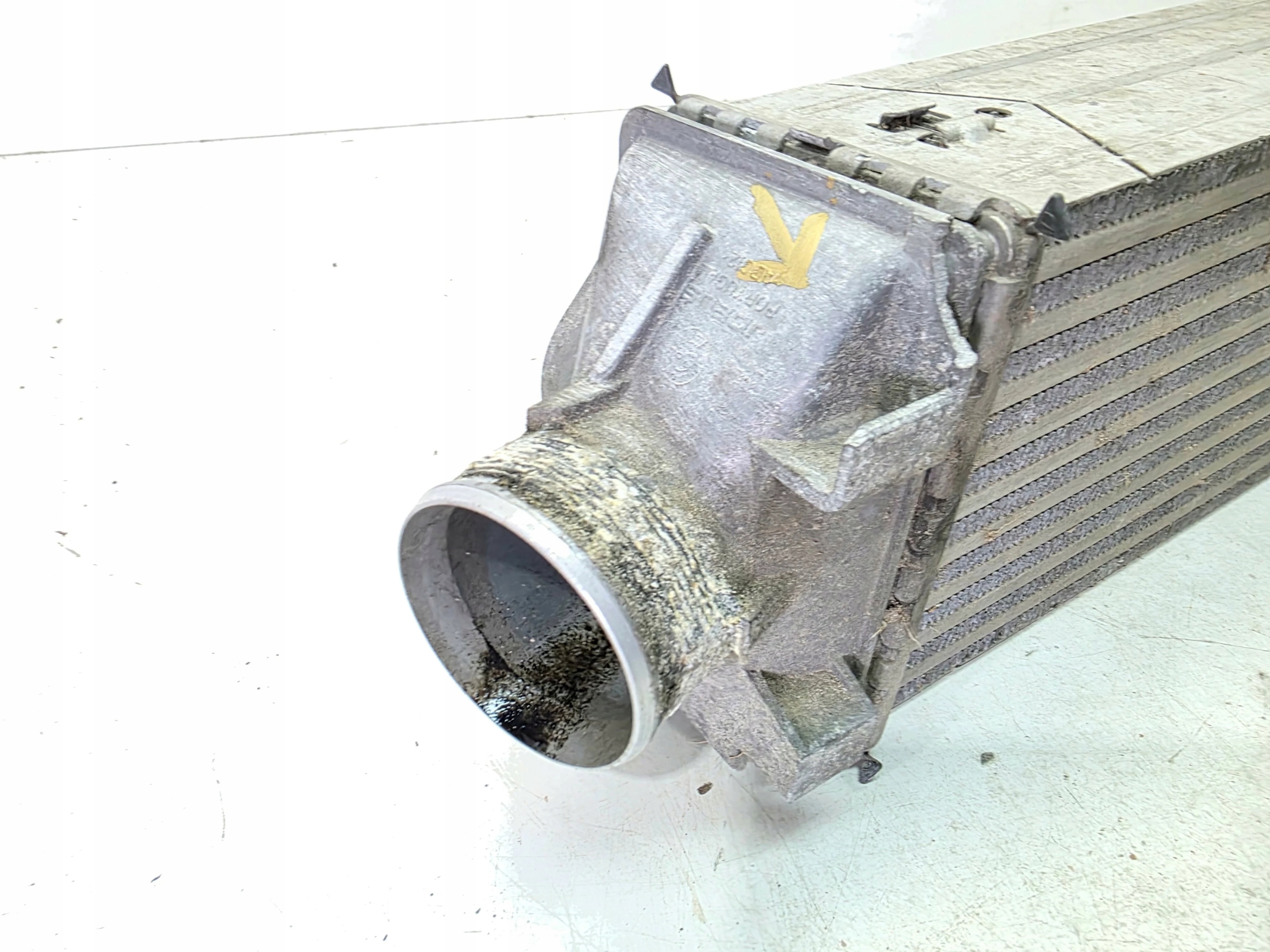Kühler luft INTERCOOLER AUDI A6 C8 A4 B9 A5 3.0 TDI 8W015805AB