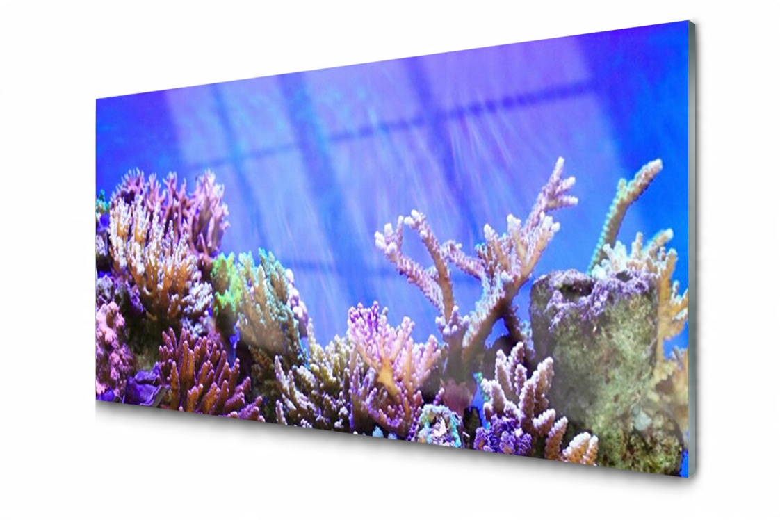 

Panel szklany Płytka Rafa Koralowa Morze 100x50