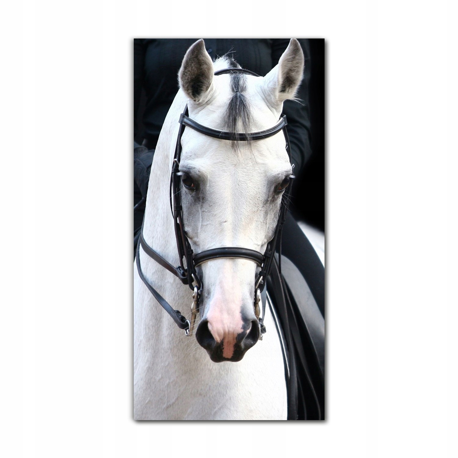 

Foto-obraz na szkle nowoczesny 70x140 Jeździec koń