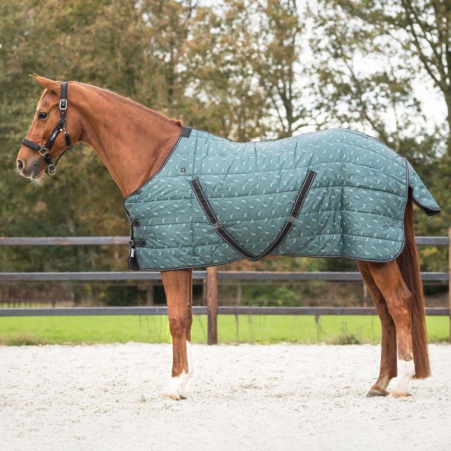 Derka stajenna Emerald wypełnienie 200gr Qhp rozmiar 125cm