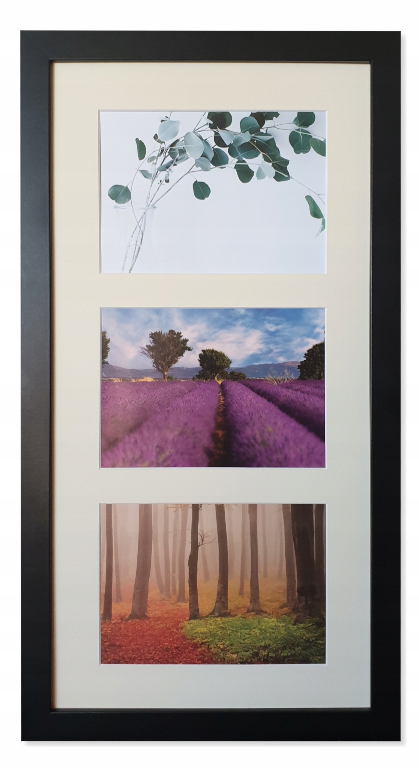 

Galeria 3 zdjęcia 15X21 rama i Passe-partou Ninack