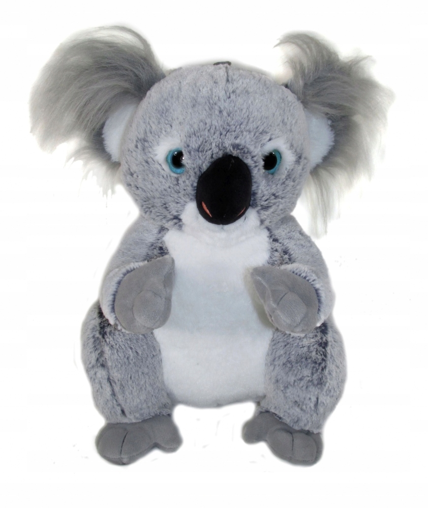 

pluszowy miś Koala australijski Maskotka