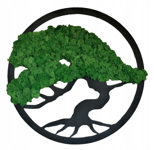 Bonsajový strom s mechem a chrobotkem Živý obraz 20 cm