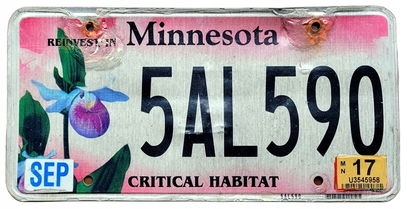 Minnesota 2017 - tablica z USA dla kolekcjonera
