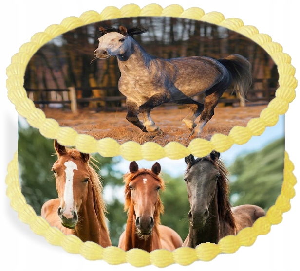 Levně Oplatek na dort Dekorace Jídelní na dort 20 cm Zvířata Kůň Narozeniny