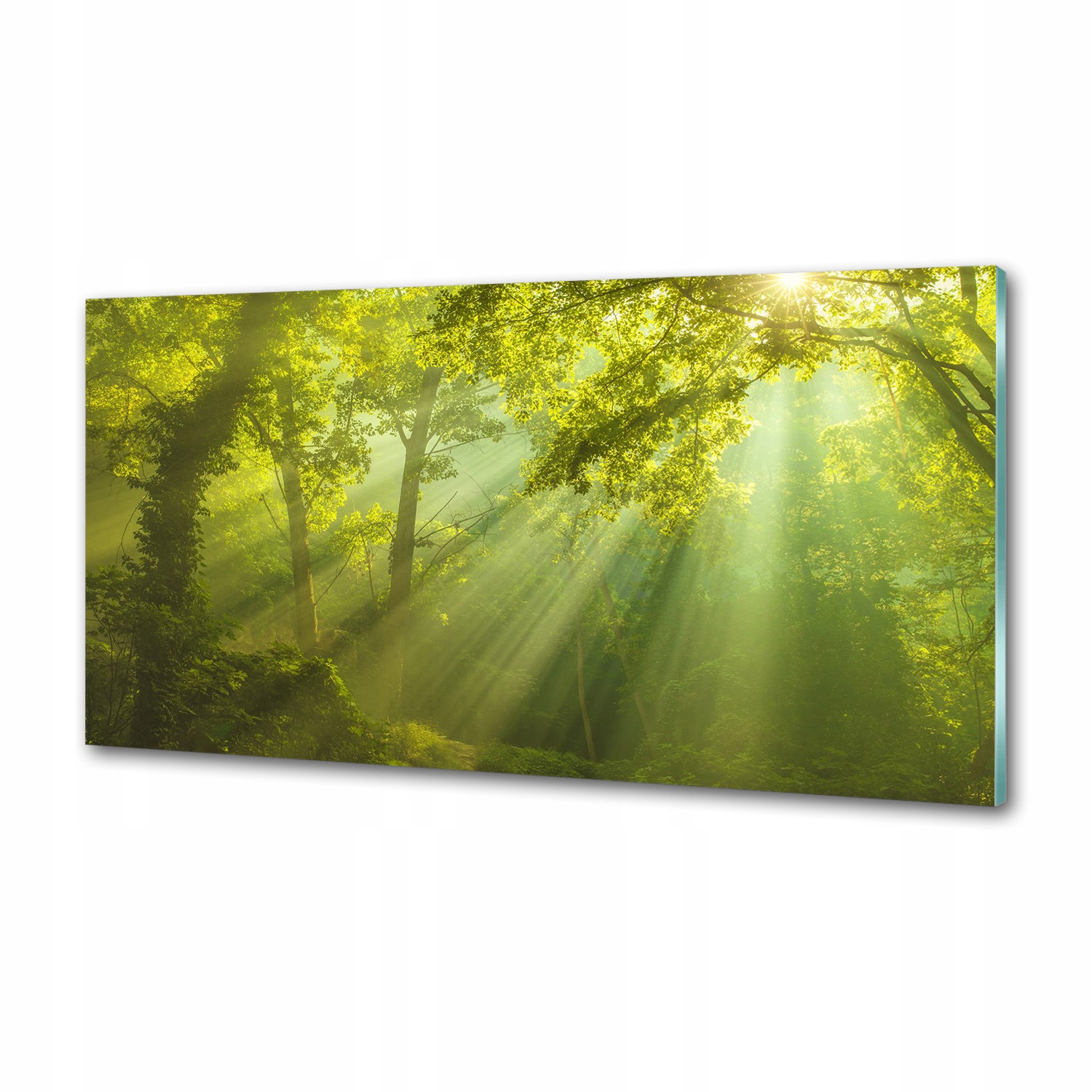 Panel dekor sklo Les na slnku 120x60 cm Lepidlo