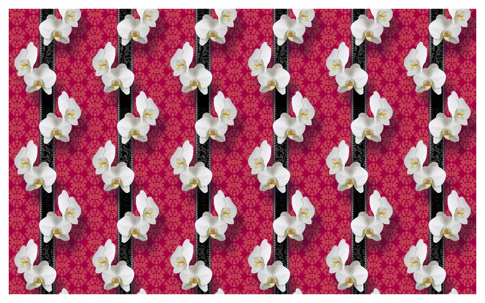 Fototapeta Orchidey bielo-červené kvety na čiernom pozadí 300x210 lepidlo