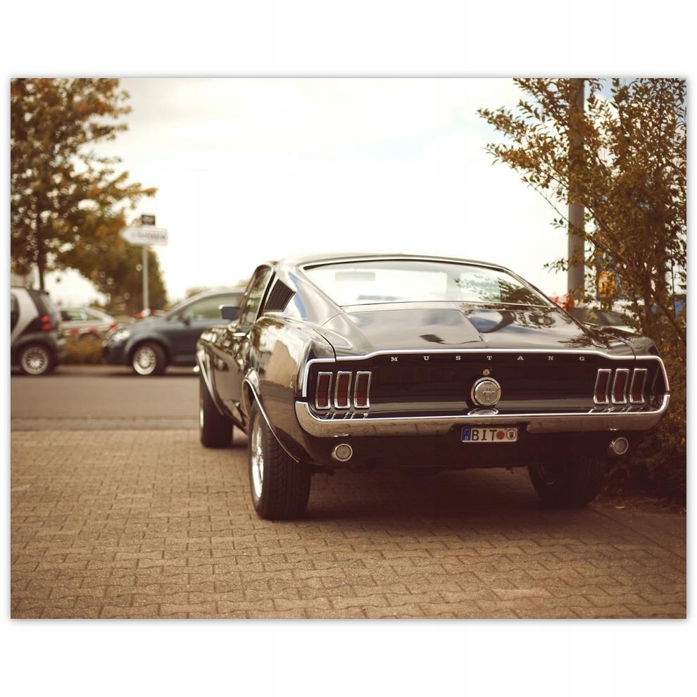 

Plakat 50x40 Vintage foto Ford Mustang