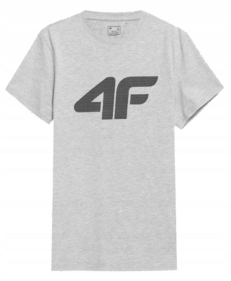 

T-shirt męski 4F Koszulka z nadrukiem Szara r XL