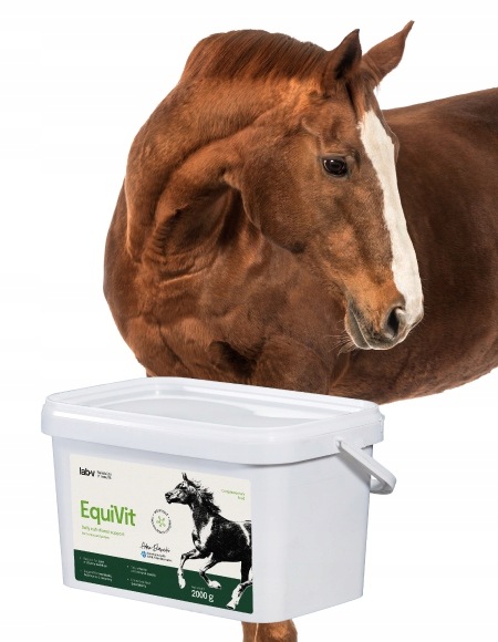 Lab-v EquiVit Mieszanka Paszowa Dietetyczna dla Koni i Kucyków 2kg