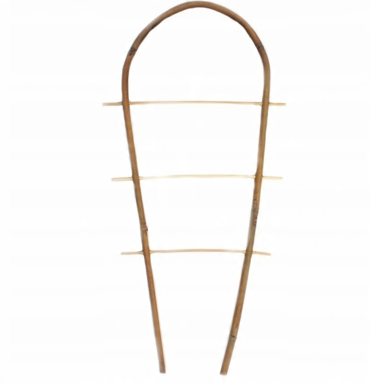 

Drabinka Bambusowa wygięta Łuk 60cm pergola