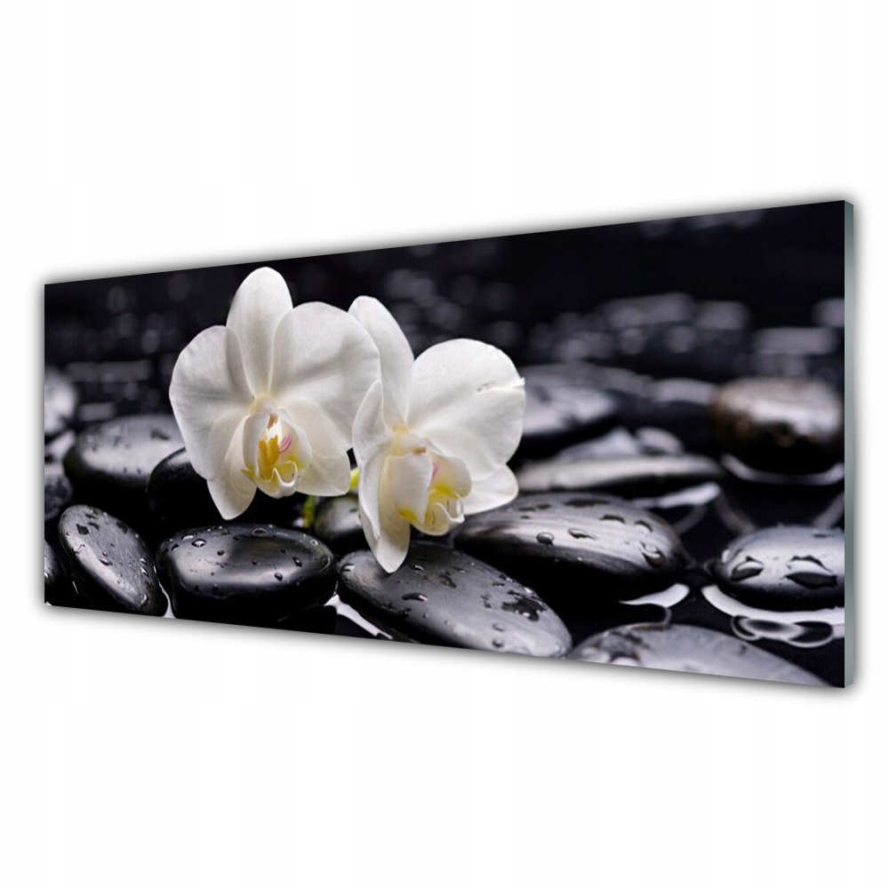 

Fotoobraz z grafiką 125x50 Zen Biały Storczyk Spa