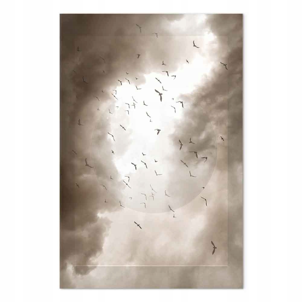 Obraz na plátně canvas Příroda Nebe Mraky Slunce Ptáci Sépie 40x60 cm