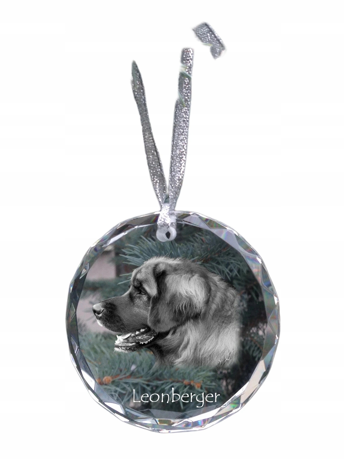 Leonberger personalizovaná vánoční koule s fotografií, ozdoba na vánoční stromeček, medailon