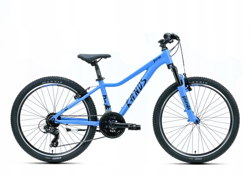 Rower Kands 24 Dragon r13" Niebieski idealny na komunię 2026r