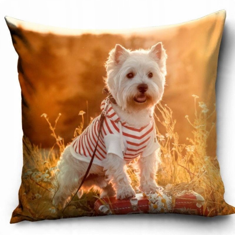

Poszewka na Poduszkę Piesek Pies Dog 40x40 cm