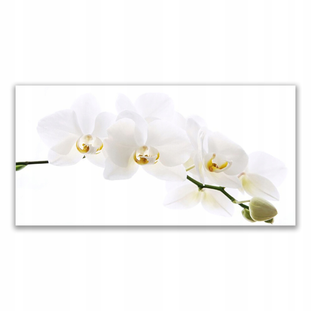 

Obraz akrylowy z nadrukiem 120x60 Kwiaty Orchidea