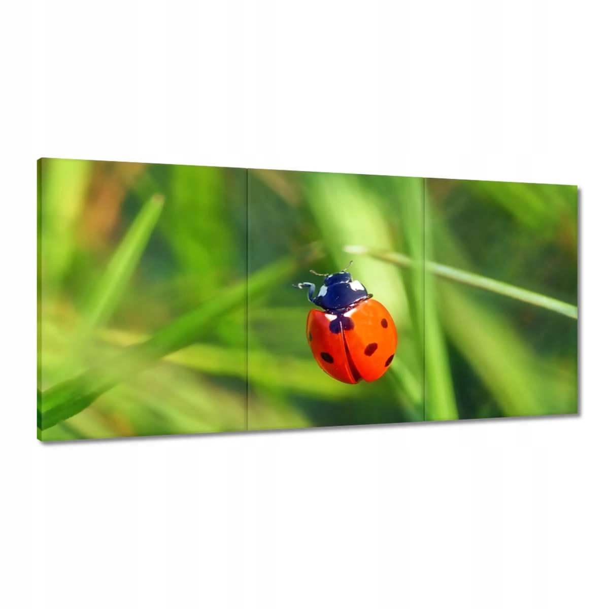 Obrazy 180x90 Zvieratá Zvieratká