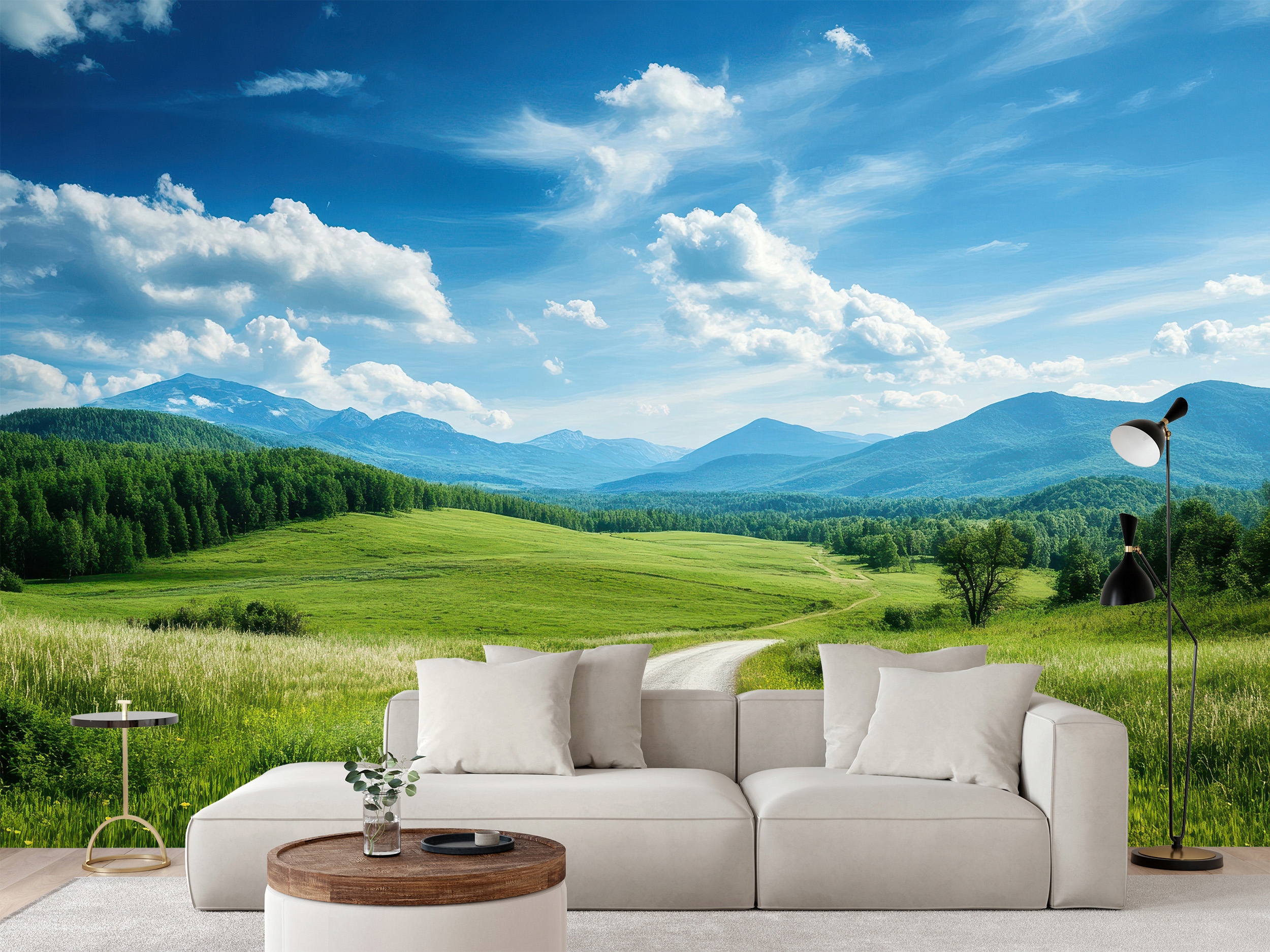 Fototapeta Venkovská Cesta A Zelená Louka 180 x 120 cm