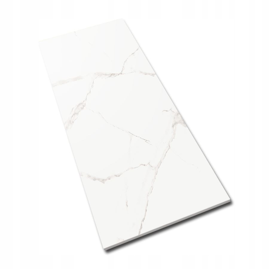 HALCON Tiziano Blanco Mate 60x120 płytki gresowe Typ gres