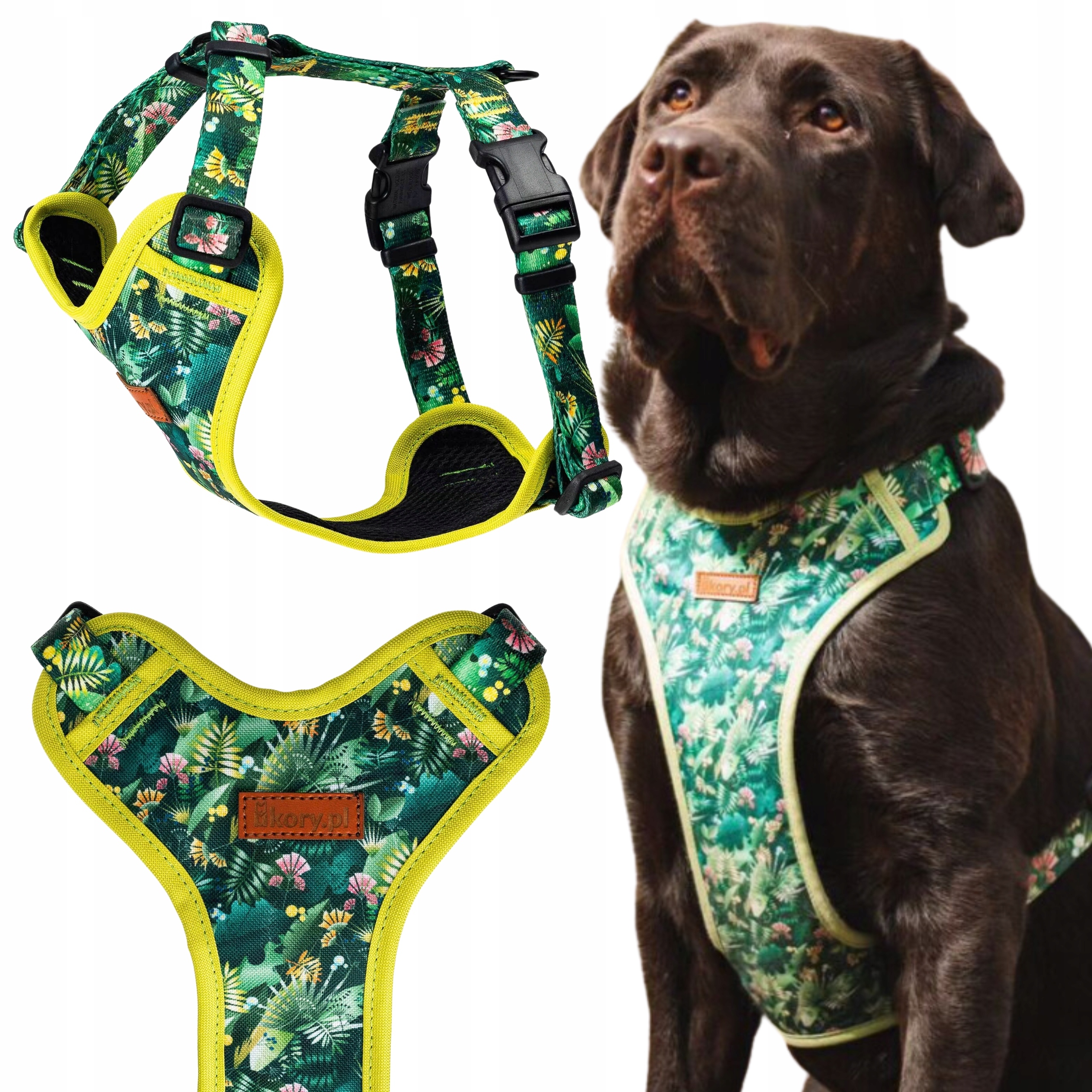 Beztlakové obojky pro malého psa teriéra chocholata Xs 15 mm Ukory Zelené