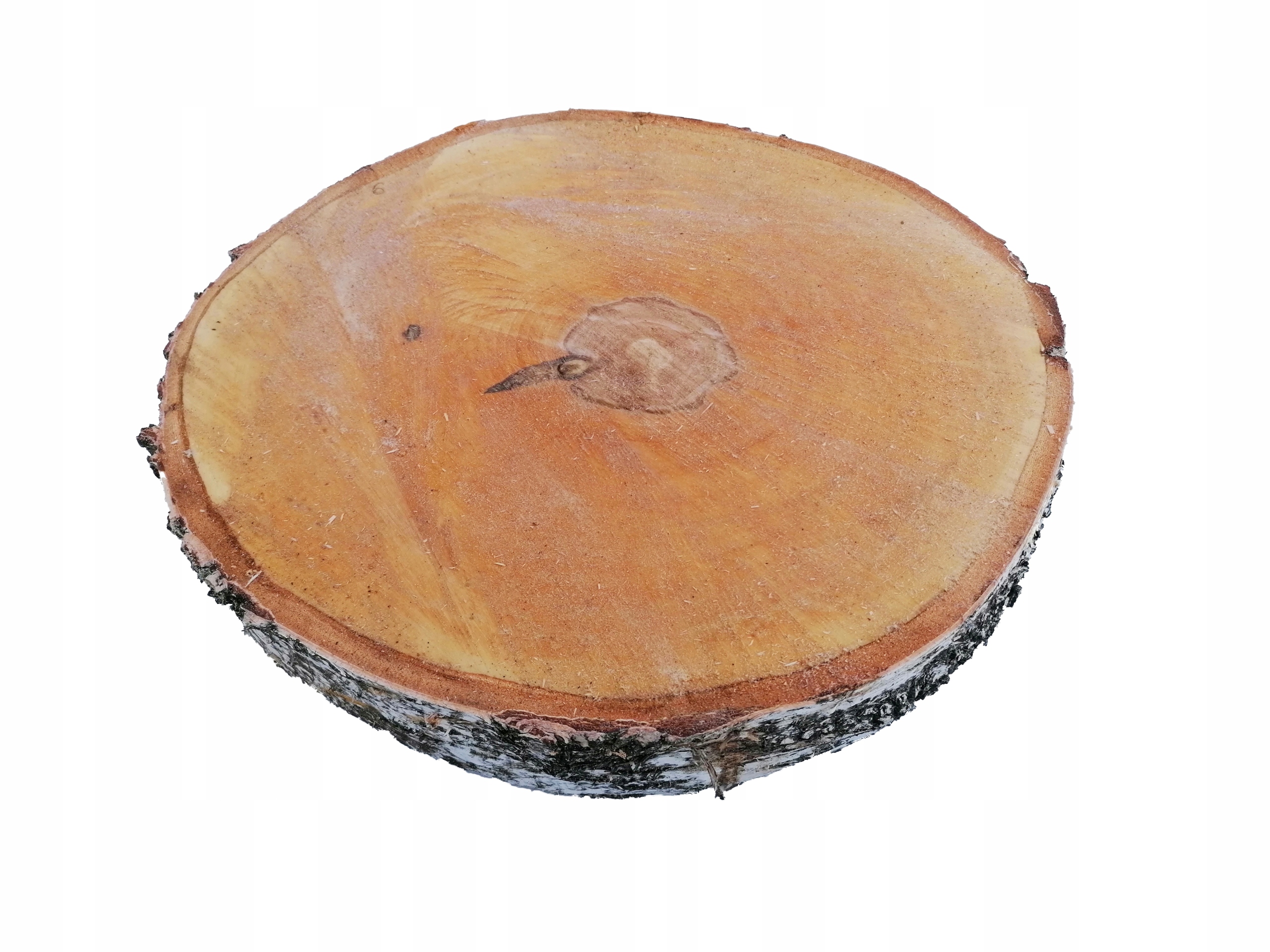 

Plaster Brzozowy drewniany Brzoza deska śr. 45 cm