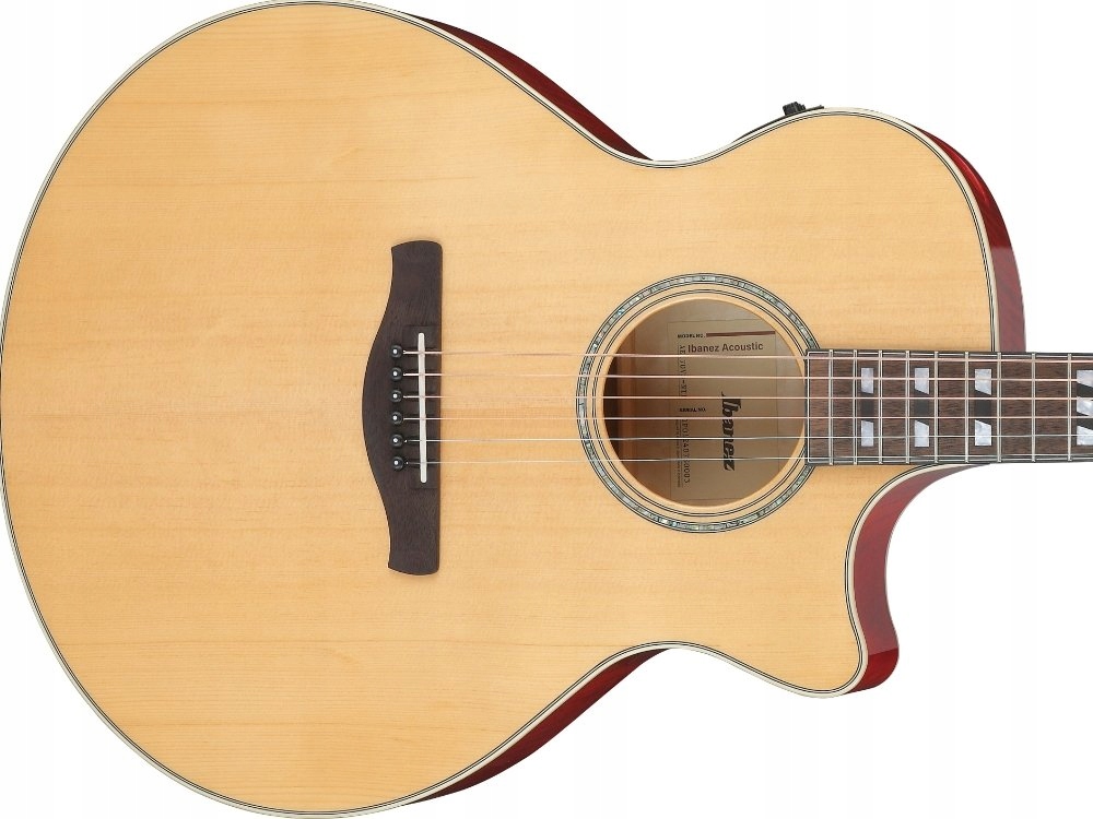 Elektroakustická kytara Ibanez AE170-NTR