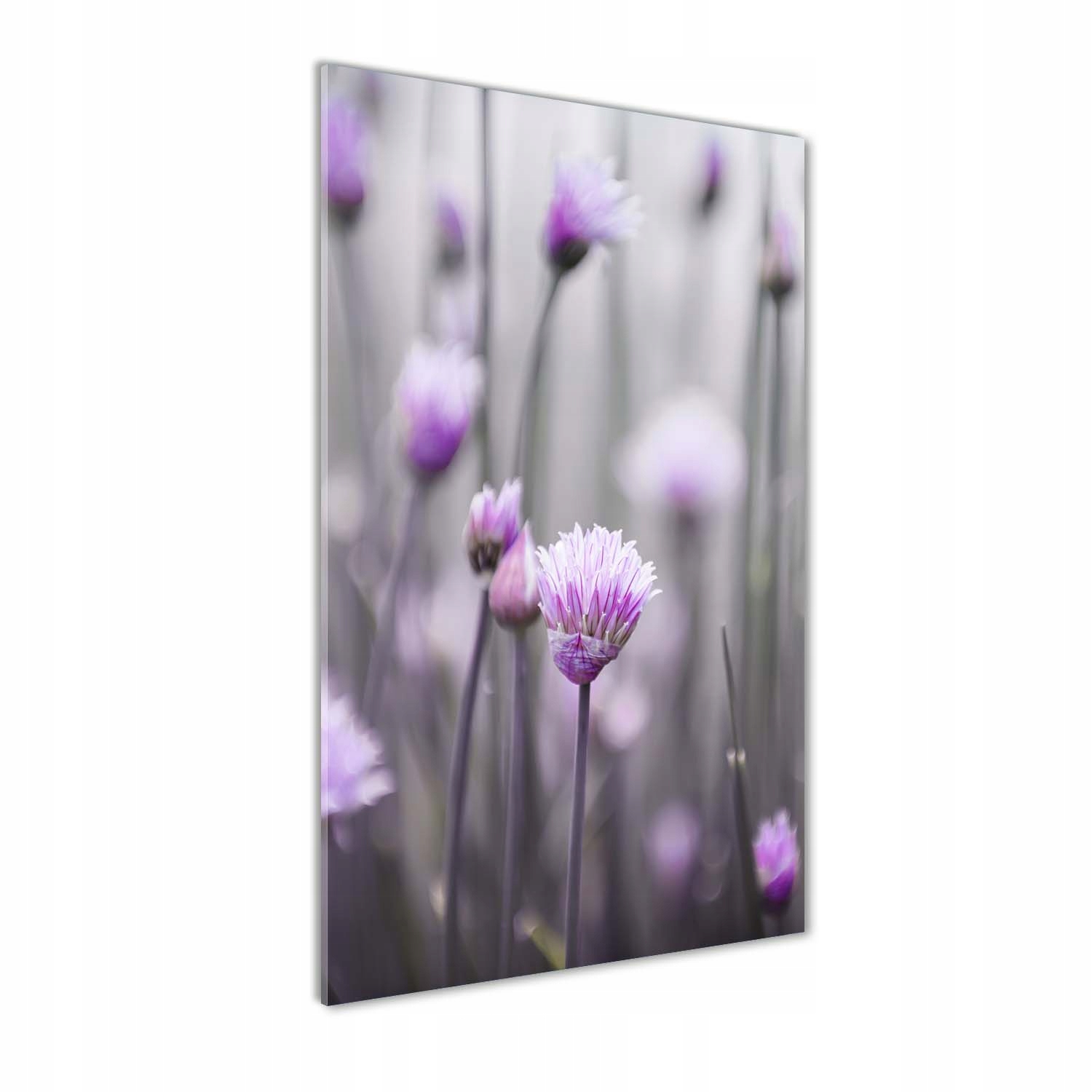 

Foto obraz akrylowy Kwiaty szczypiorku 60x120 cm