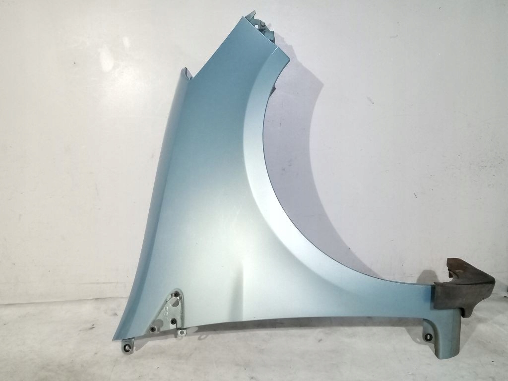 Renault Clio III fender right right side (185) TERNK