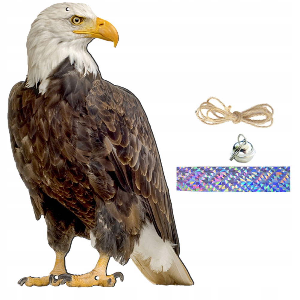 1 ZESTAW OZDOBA OGRODOWA ORZEŁ OBROTOWY NA WIETRZE