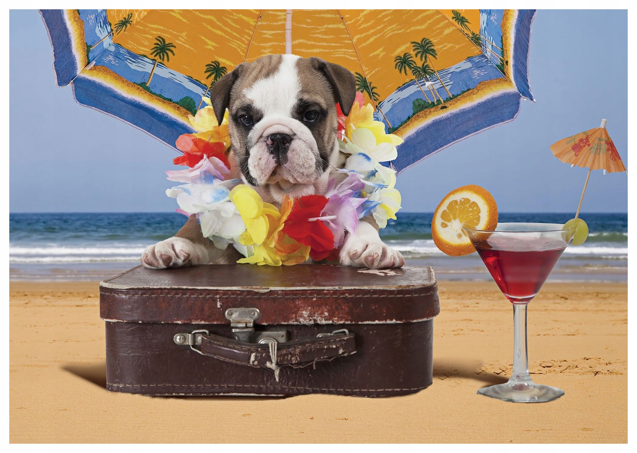 Fototapeta flizelina Buldok na Havaji Tropický odpočinek 416x254 lepidlo