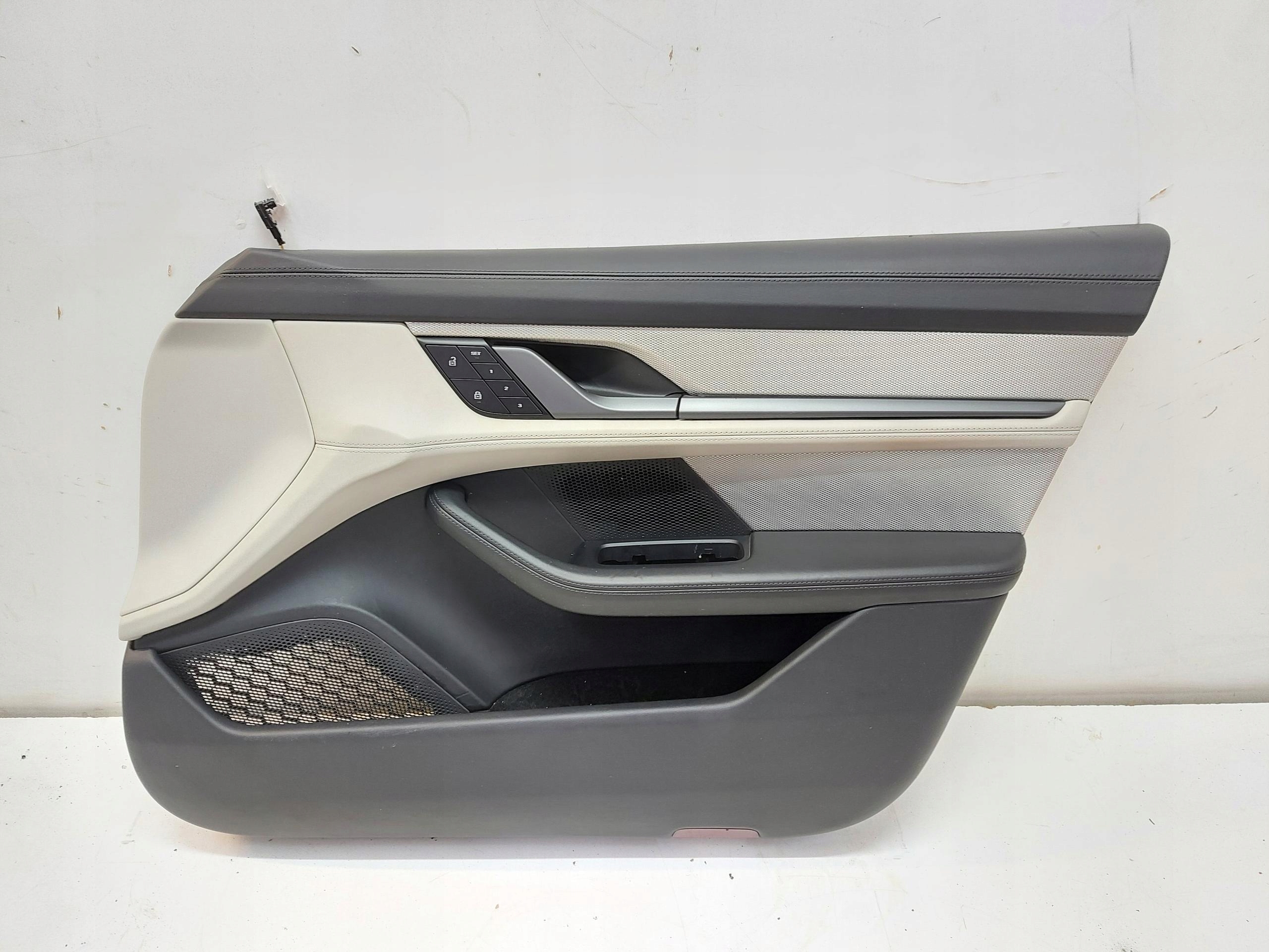 Porsche Taycan GTS 9J1 2023r upholstery side door front right