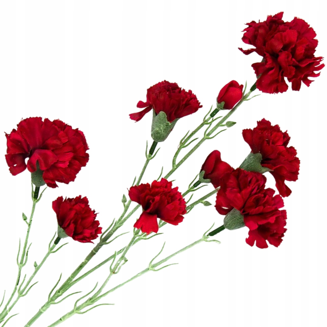 

[w0541] Gałązka goździk satynowy 72cm bordowy