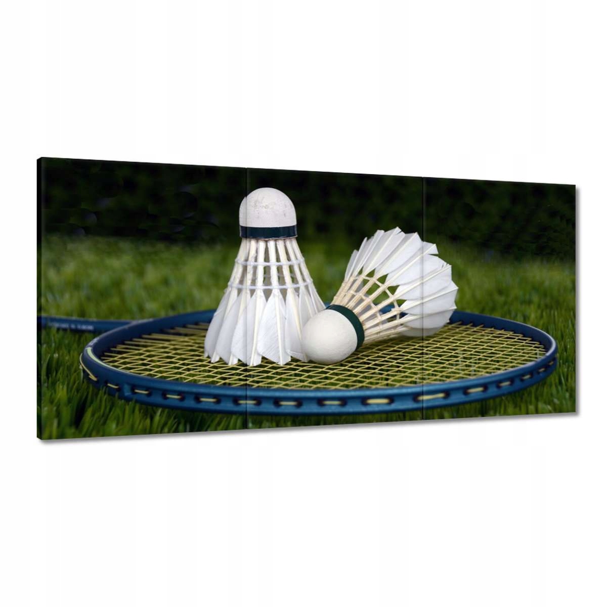Obrazy 180x90 Paletky Lotky Bedminton