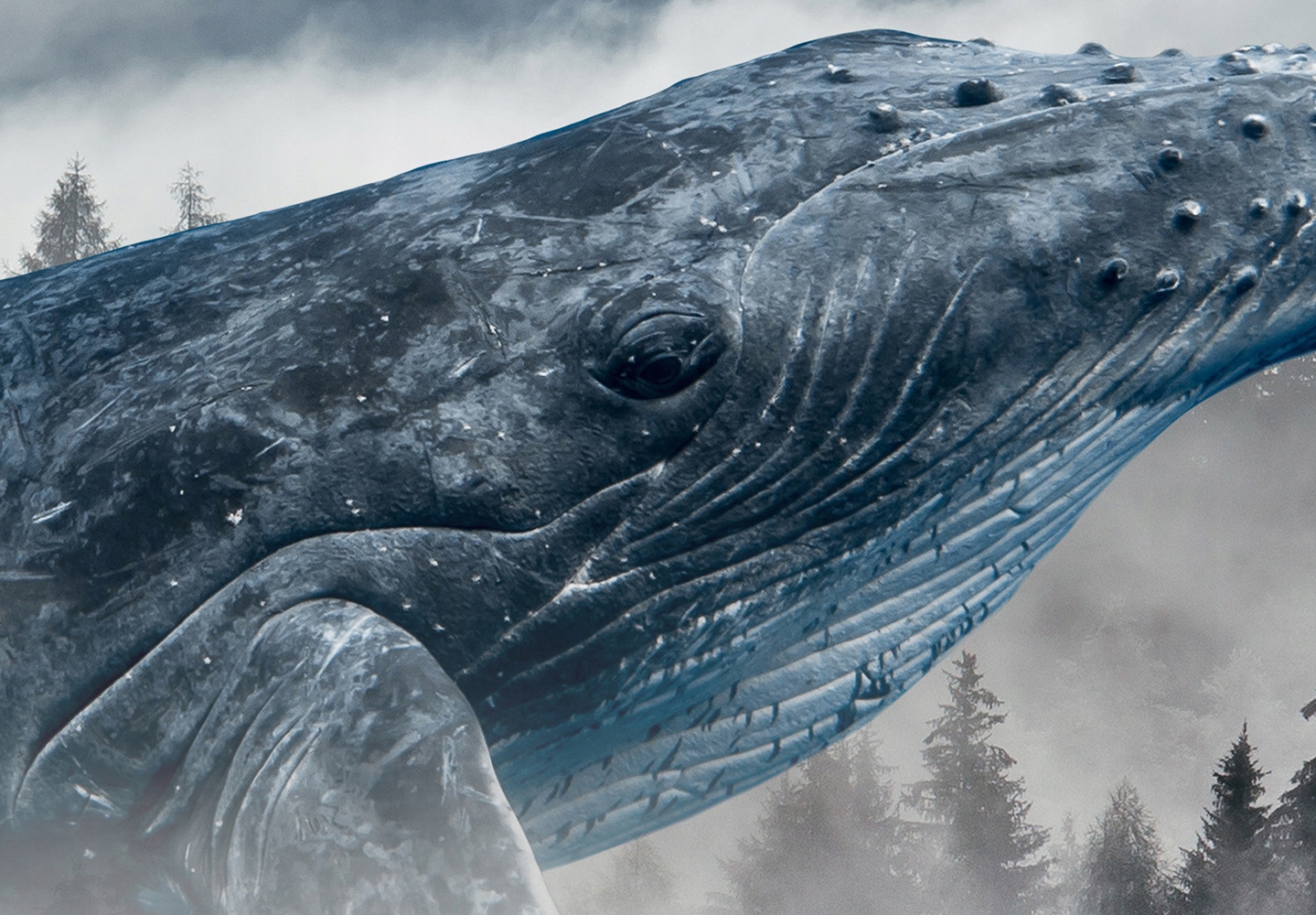 FOTOTAPETA LAS MGŁA PŁETWAL 400x280 c-C-0473-a-a Kod producenta 4XLFT2166