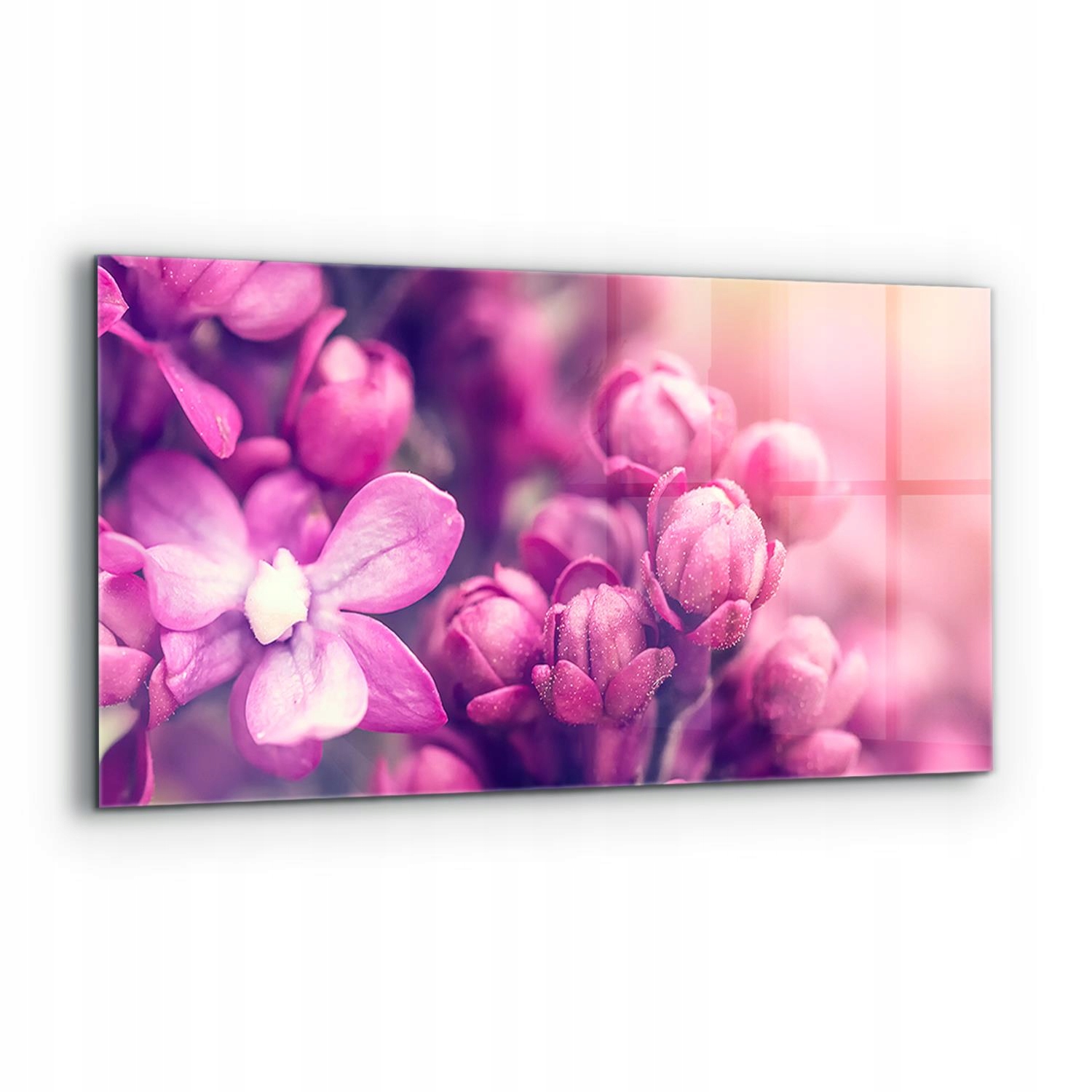Nástenný panel Ružové prírodné ľalie Krása 120x60